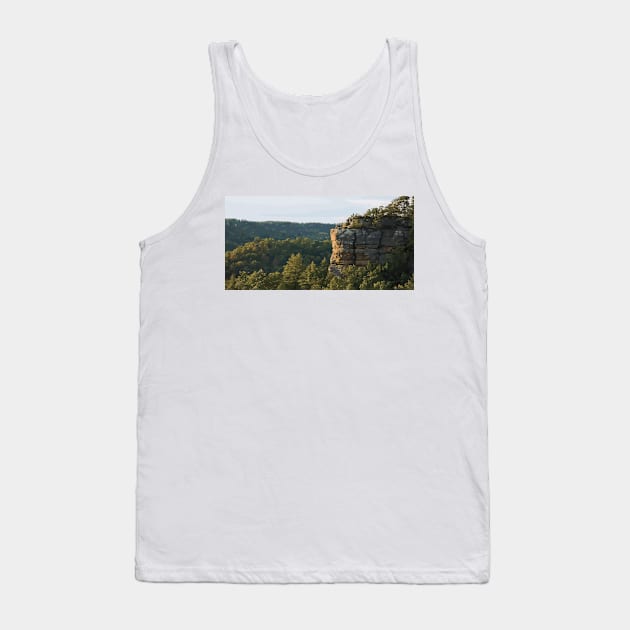 Red River Gorge Painting Tank Top by gktb